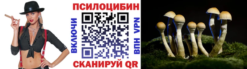 Псилоцибиновые грибы MAGIC MUSHROOMS  как найти   Мостовской 